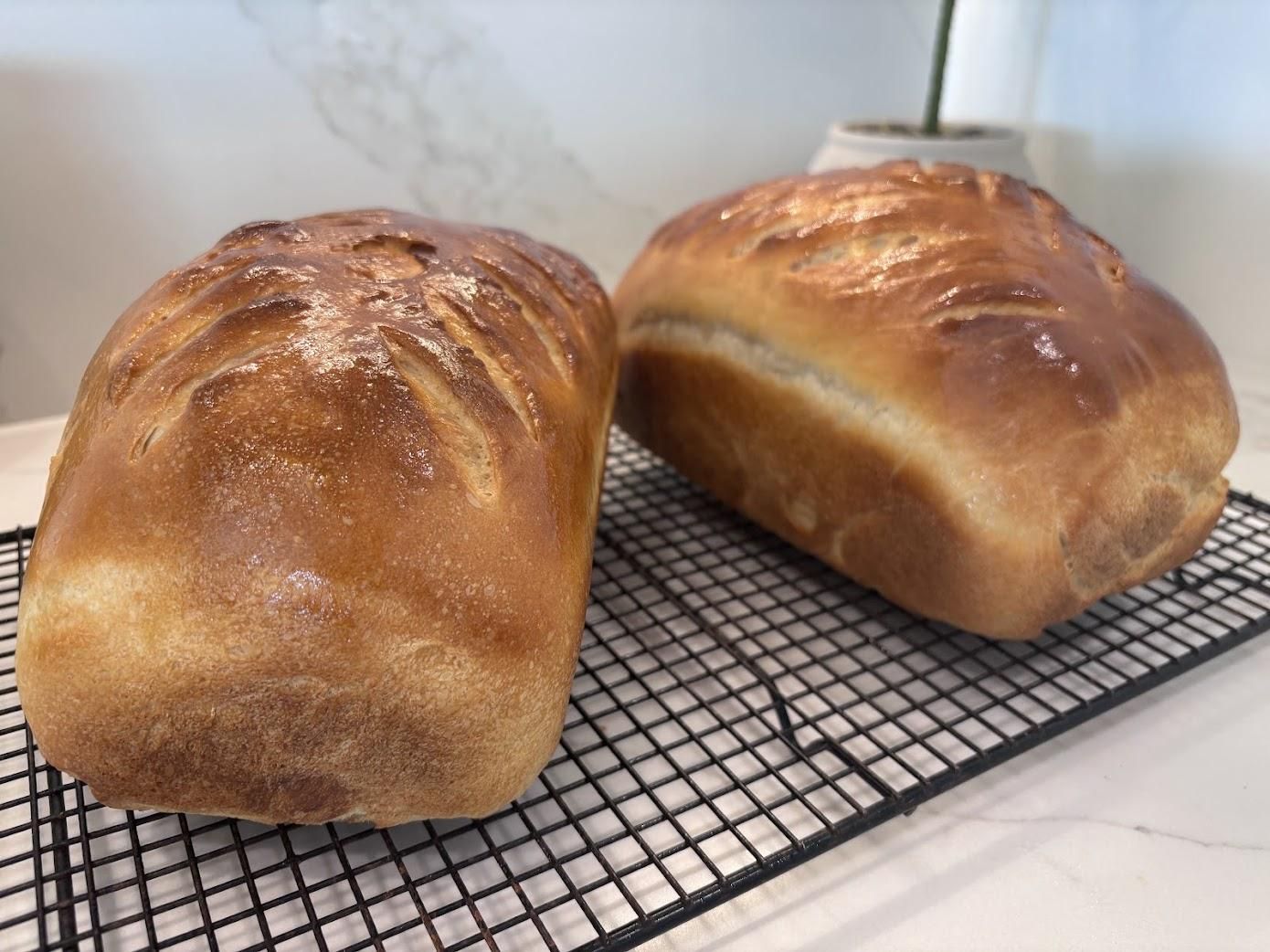White sourdough sandwich loaves cooling